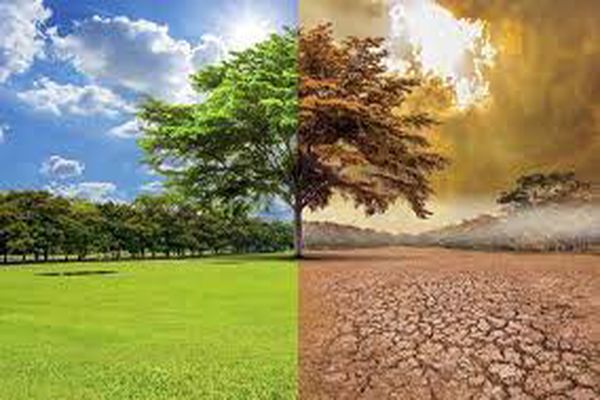 تأثير التغيرات المناخية على الزراعة