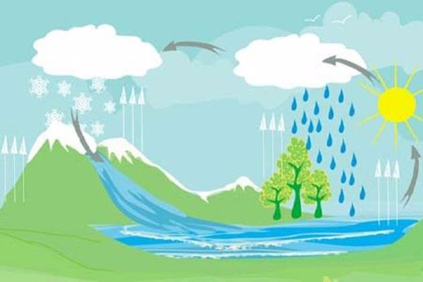 أهمية دورة الماء في الطبيعة