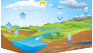 مراحل دورة الماء في النظام البيئي