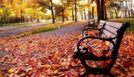 فوائد فصل الخريف
