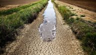 حلول الجفاف في الطبيعة