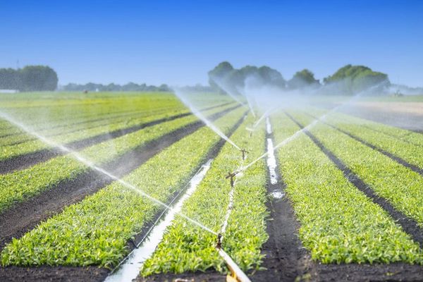 طرق ترشيد استهلاك المياه في الزراعة