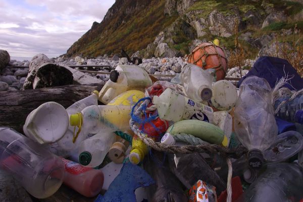 حلول لمشكلة التلوث البلاستيكي