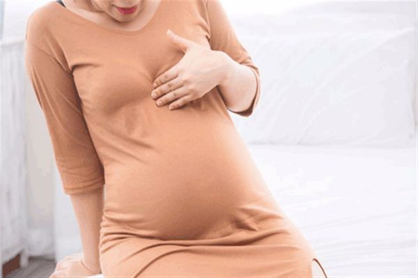 هل زيادة حمض الفوليك يضر الحامل