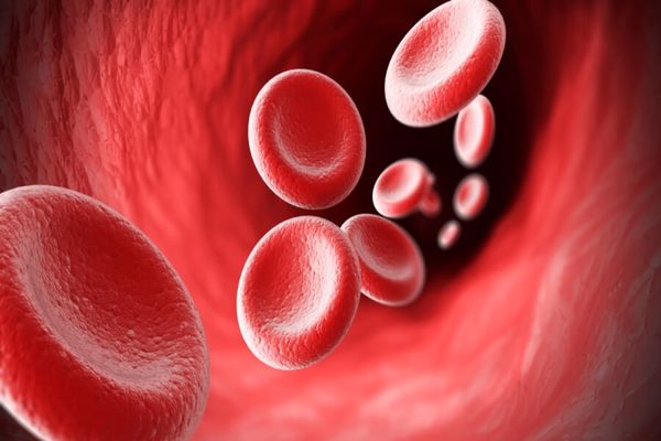 ماذا يدل على نقص كريات الدم الحمراء