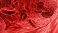 هل يؤدي فقر الدم إلى الموت