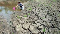 خاتمة بحث عن الجفاف
